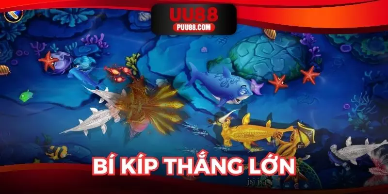 Bí kíp giúp bạn giành chiến thắng lớn khi tham gia
