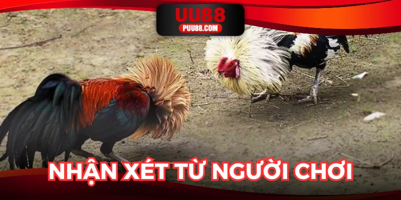 Góc nhìn người dùng khi trải nghiệm trò chơi trên nền tảng