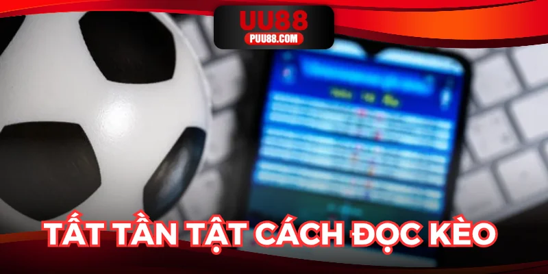 Hướng dẫn đọc bảng tỷ lệ nhanh chóng và chuẩn xác nhất