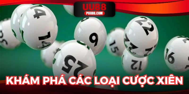 Lô xiên là gì? Cùng tìm hiểu những kiểu chơi cực thú vị