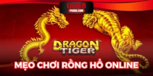 Mẹo Chơi Rồng Hổ Online Nâng Tầm Bí Thuật Cá Cược Tại UU88