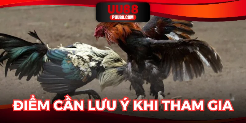 Những điểm cần chú ý khi muốn theo dõi toàn diện đấu trường