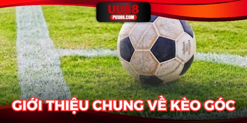 Phân tích sơ bộ về kèo góc cực dễ hiểu