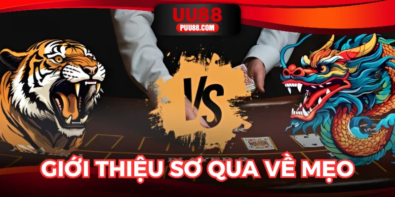 Tìm hiểu chung về bí quyết chơi rồng hổ trực tuyến