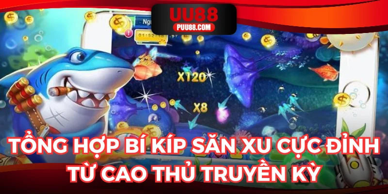 Tổng hợp bí kíp săn xu cực đỉnh từ cao thủ truyền kỳ